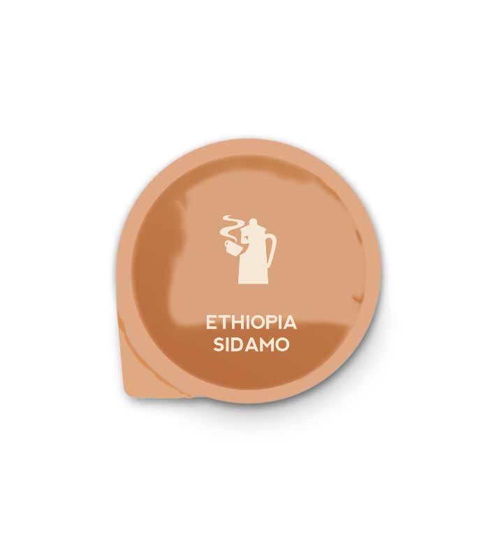 akovanje Hausbrandt Ethiopia Sidamo kapsule za Epica Guzzini sistem